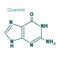 Chemical structural formula of guanine - DNA and RNA nitrogen base