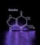 Chemical structural formula of guanine - DNA and RNA nitrogen base