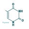 Chemical structural formula of thymine - DNA and RNA nitrogen base