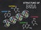 Chemical structure of DNA on a chalkboard