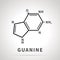 Chemical structure of Guanine, one of the four main nucleobases, simple icon