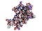 Chemical structure of human growth hormone (hGH, Somatotropin) m