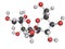 Chemical structure of sucrose