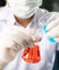 Chemist student boy pouring blue liquid in beger glass to erlenmeyer flask chemistry with red liquid on biochemical experiment.