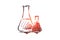 Chemistry, flask, science, laboratory, glass concept. Hand drawn isolated vector.