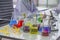 Chemists work lab in the morning,With test pieces working with colorful liquid chemicals, glass tubes