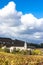 Chenas with vineyard, Beaujolais, Rhone-Alpes, France