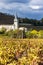 Chenas with vineyard, Beaujolais, Rhone-Alpes, France