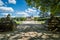 Chenonceau castle entrance and alley in the summer