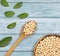 Chenopodium quinoa - Organic popping Quinoa. Healthy food