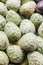 Cherimoya, Annona cherimola, fruit from Madeira island