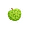 Cherimoya or custard apple fruit, Annona squamosa