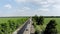 CHERKASSY REGION, UKRAINE - MAY 31, 2018: Aerial view on repair of a highway, the process of laying a new asphalt
