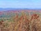 Cherohala Road (Route 143), Nantahala National Forest, NC