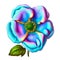 Cherokee Rose Floral Delight: Blue & Violet Botanical Illustrations.