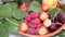 Cherries, Apricot Fruit and Raspberries with Water Drops and Green Leaves