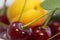 Cherries and apricots - a source of vitamins in the summer