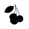 Cherries black silhouette.Garden berry icon.Vector