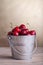 Cherries in a bucket - copyspace