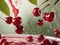 Cherries falling into milk