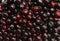 cherries fruits background