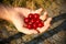 Cherries in hand