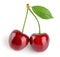 Cherries isolated