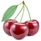 Cherries with leaf.