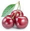 Cherries with leaf.