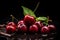 Cherries on melted chocolate with mint leaves in the background with a black background