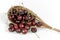 Cherries stack in fruit-picker