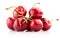 Cherries on the white background