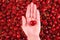 cherries in the women\\\'s hand on merry background. Summer gifts, sweet cherries adored by children. ripe sweet cherries, red