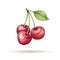 Cherry