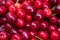 Cherry background. Cherry top view. Sour cherry flat design. Fruit macro