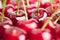 Cherry background. Pattern of fresh cherries with tails. Macro.