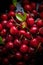 Cherry banner. Cherries background. Close-up food photography