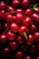 Cherry banner. Cherries background. Close-up food photography