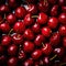 Cherry banner. Cherries background. Close-up food photography