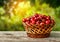 Cherry basket on table