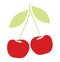 Cherry berries icon