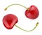 Cherry berry fruits as yin yang symbol