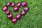 Cherry berry heart symbol grass background nobody