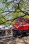 Cherry blossom and antique red train in Alishan National Forest Recreation Area