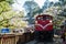 Cherry blossom and antique red train in Alishan National Forest Recreation Area