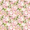 Cherry blossom - apple, sakura flowers . Floral seamless pattern. Watercolor