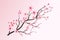 Cherry blossom with blooming watercolor Sakura. Realistic watercolor sakura flower branch. Japanese Cherry blossom vector. Cherry