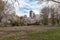 Cherry Blossom in Boston