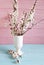 Cherry blossom branch, willow in vase on colored wooden background