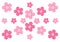 Cherry blossom decoration on white background vector